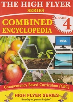 High Flyer Combined Encyclopedia Grade 4